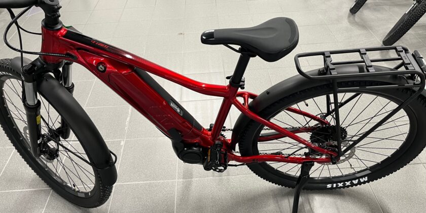 Liv Tempt E+ EX – 1.290,- €